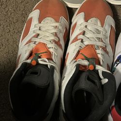 Jordan 6 Retro Gatorade