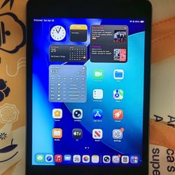 iPad mini 5 cracked corners