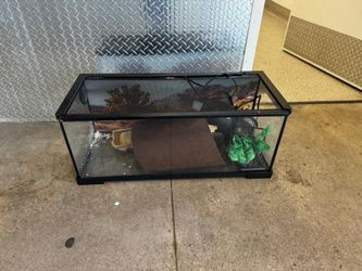 Animal Reptile Tank Aquarium
