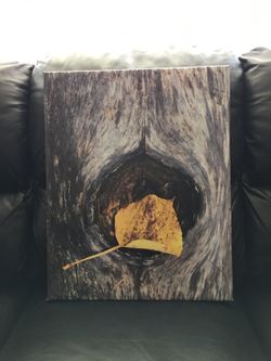 Fine Art Photography Canvas : Held One More Time