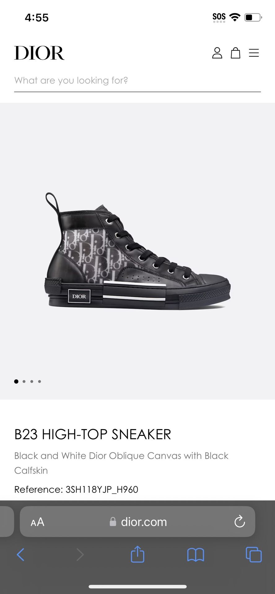 Dior B23s all Black Size 10