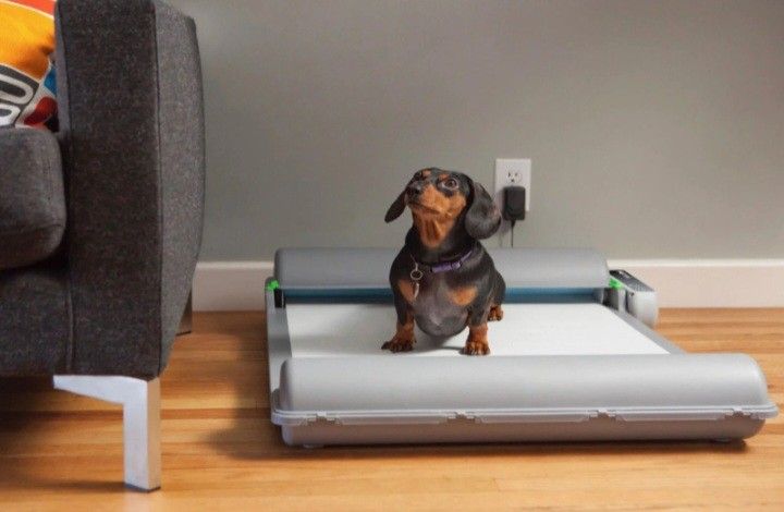 BrilliantPad Self Cleaning Dog Potty