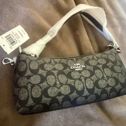 Charlotte coach bag