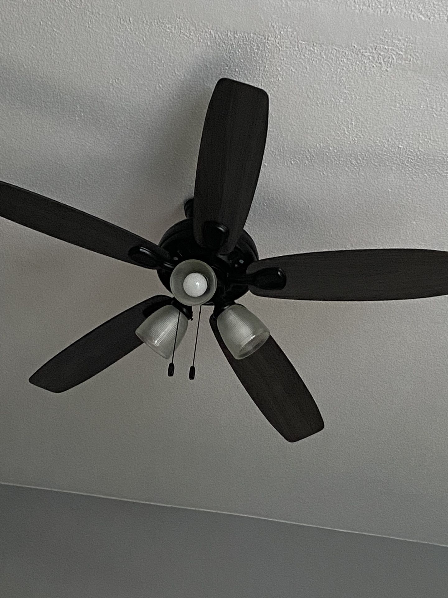 Ceiling Fan  