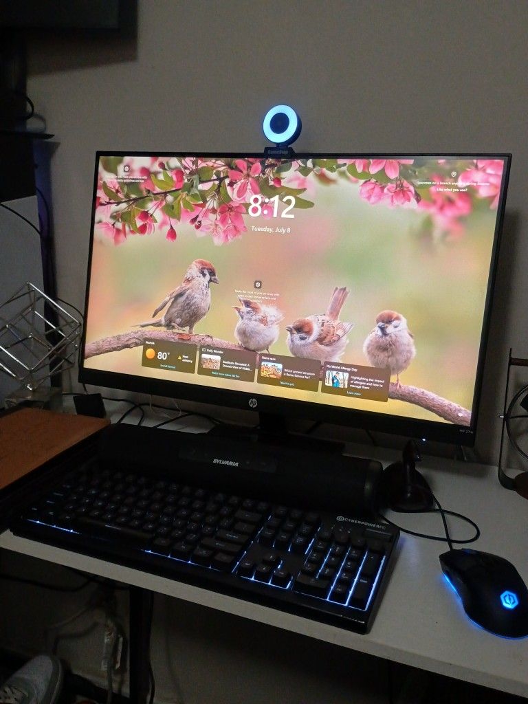 HP Monitor