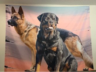 **** WALL ART ******