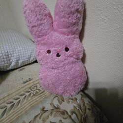 Plush Pink Bunny