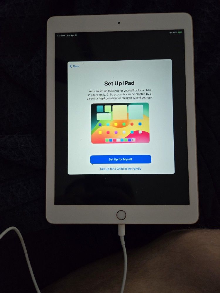 iPad 6th generation Wifi (Gold/32GB)