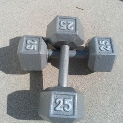 25 Pounds Dumbbells