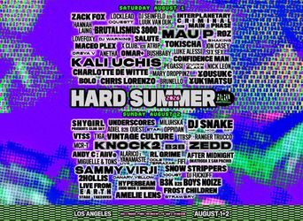 Hard summer 2 day vip $300