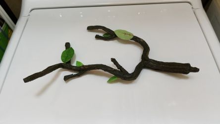 Reptile branch