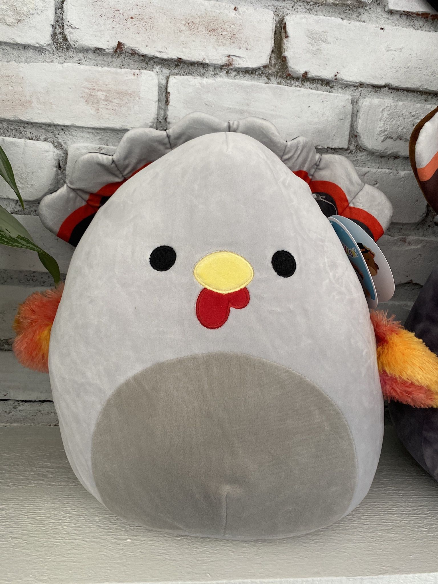 Squishmallow Terry Petina Gray Turkey Grey Thanksgiving 12”