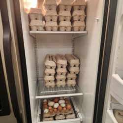 Fresh Organic Eggs