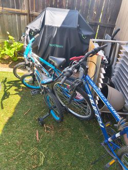 Cuatro bicicletas gratis