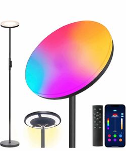 Multicolor & White Light Floor Lamp Smart App Modern Double Side Lighting NEW