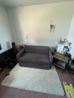 Pull-Out Sleeper Sofa / Loveseat
