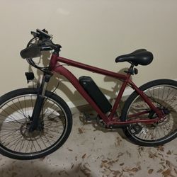 Electric Bike 