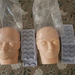 Manakin Heads New