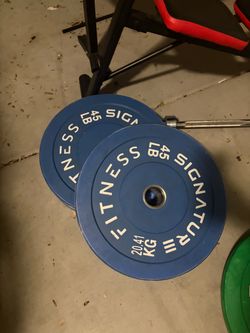 1 pair 45 lb bumper plates