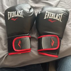 Everlast 12 Oz Boxing Gloves.