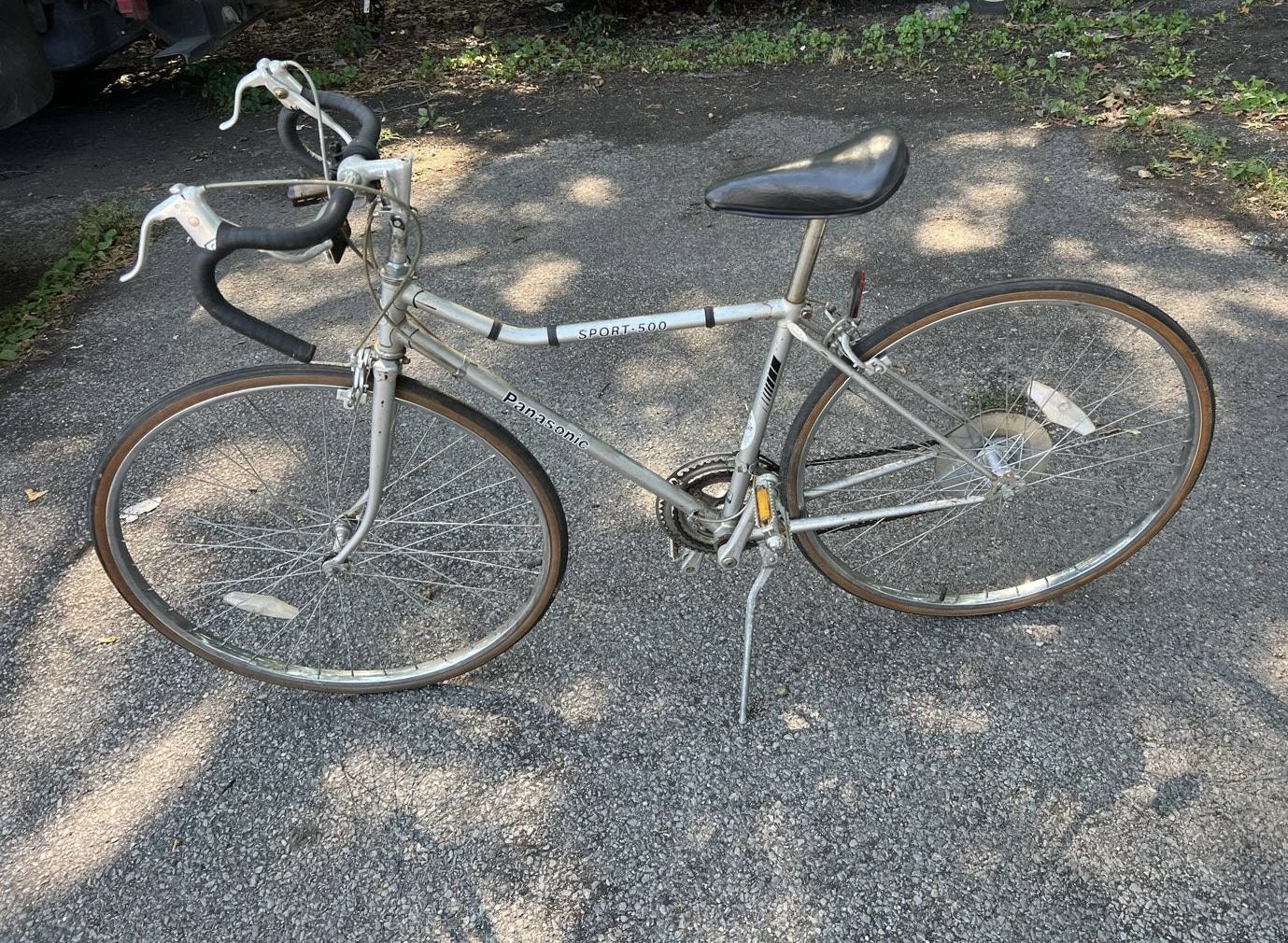 Panasonic Sport 500