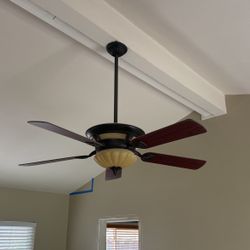 Fan