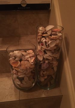 Vases with seashells