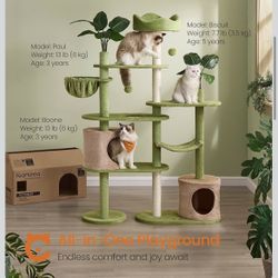 Cat Tree