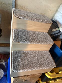 New pet steps