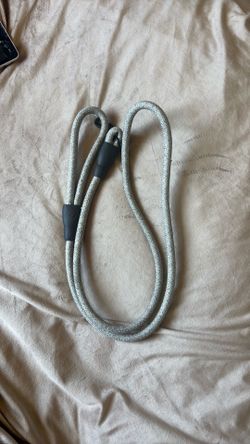 Gray Dog Leash