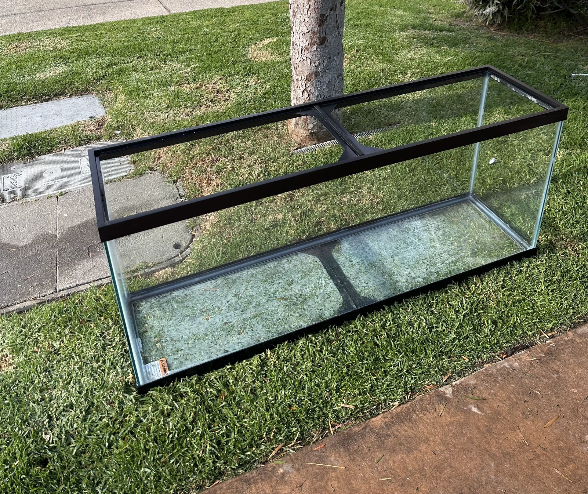 55gallon Black Open Glass Tank