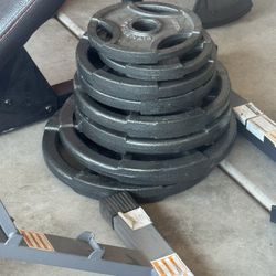 Workout Bench And weights 