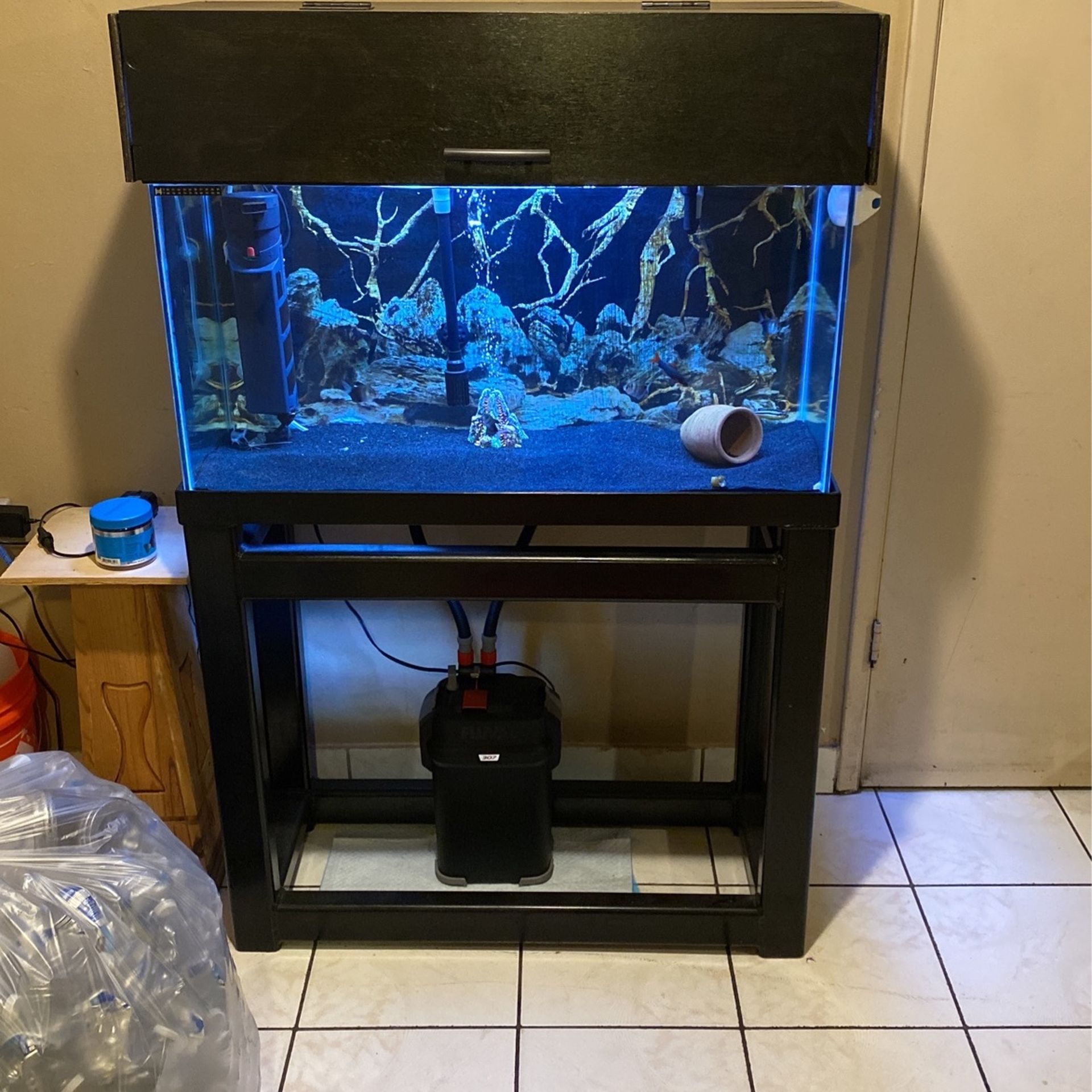 Fish Tank