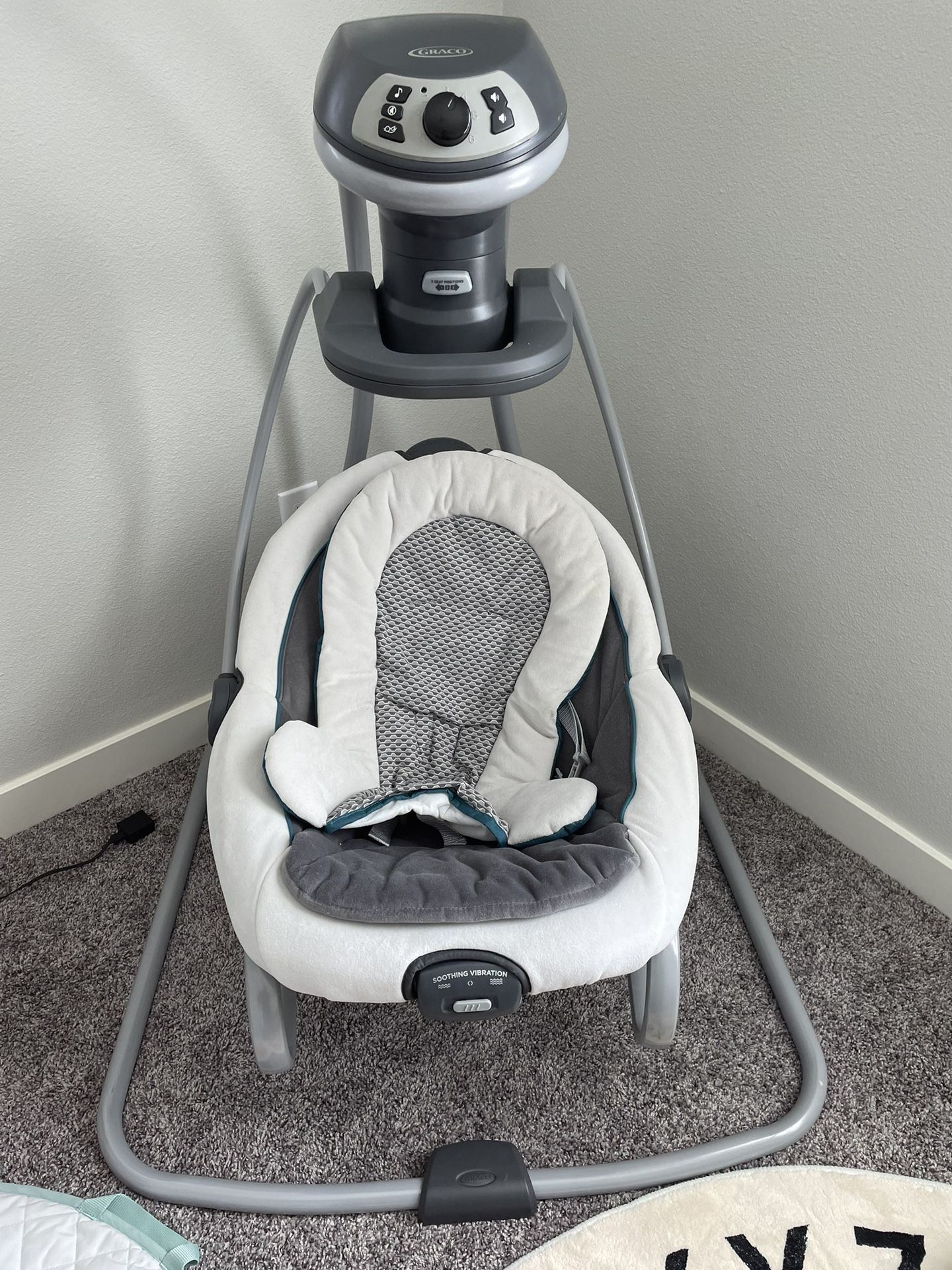Graco DuetSooth Swing