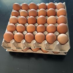 Huevos Orgánicos 