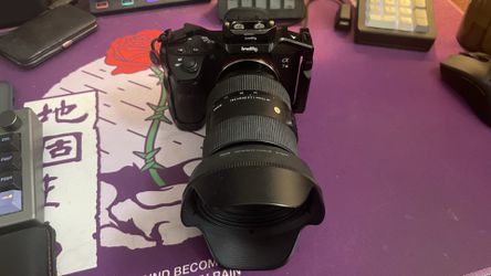 Sony A7III + Sigma 24-70mm F2.8