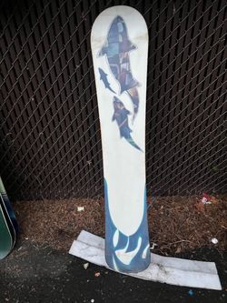 Snowboard with Shark Graphic Design