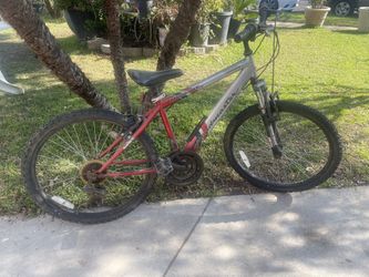 Roadmaster Mountain Bike