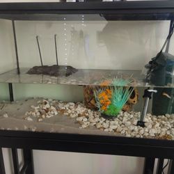 30 Gallon Fish Tank