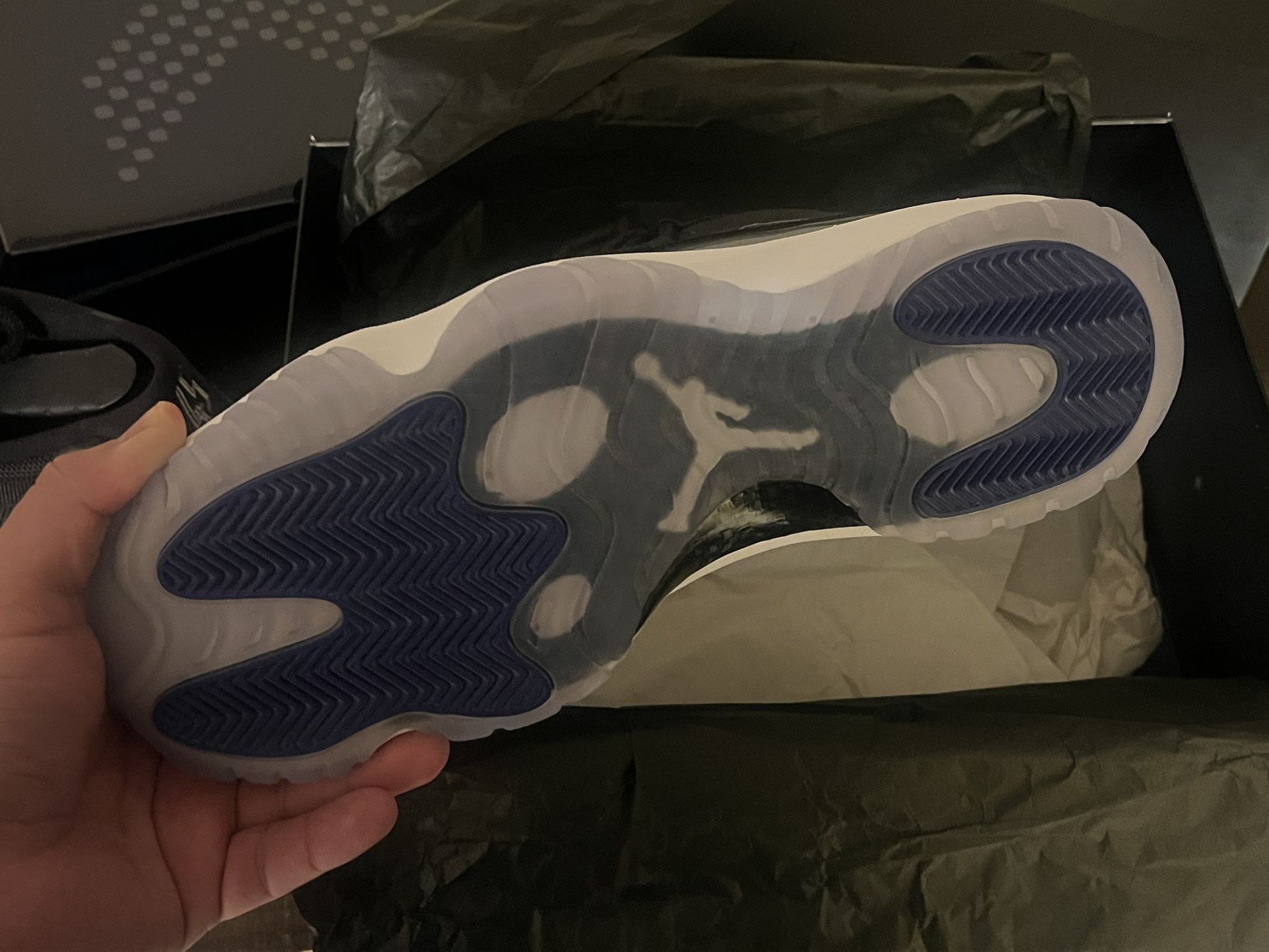 Jordan 12 Space Jam