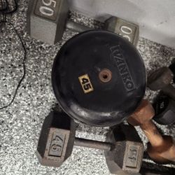 Dumbbells Gym Weights 90 Cents Per Pound 
