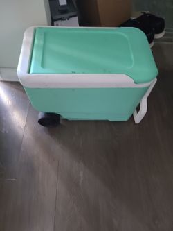 Ice chest