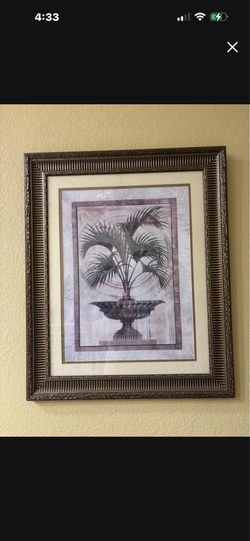 Picture frame palm tree