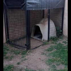 Dog Kennel