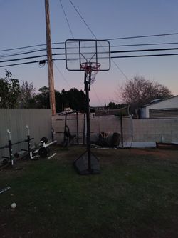 Basketball