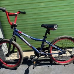 Schwinn Youth Bike 