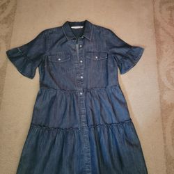 Given Kale, Thin Levi Button Up Dress 