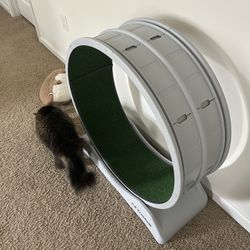 Cat Excercise Wheel