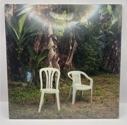 Bad Bunny Vinyl Album