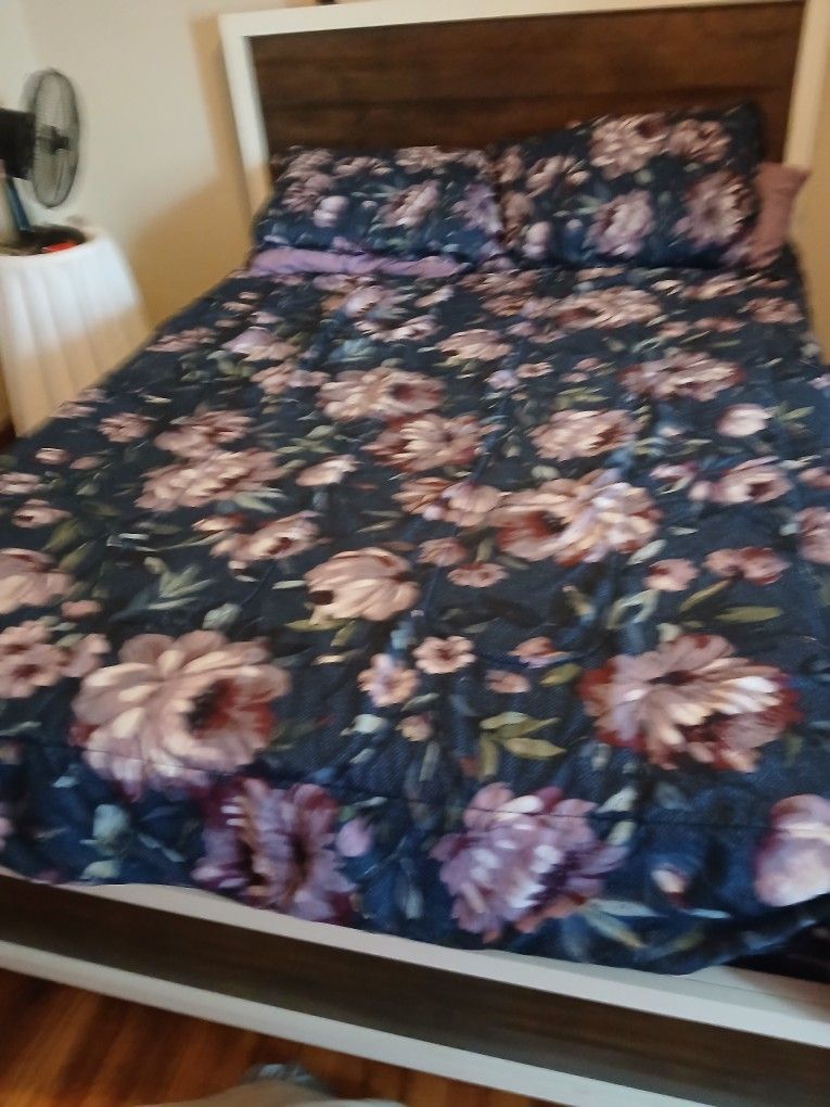 Queen Bed White and Browngood Condition